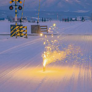 日本美女处女屄
