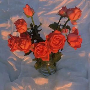 日本美女处女屄
